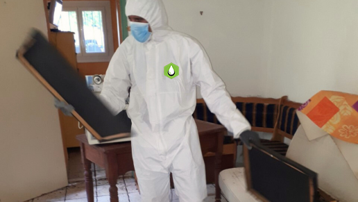 Fédération des Entreprises:AllClean34